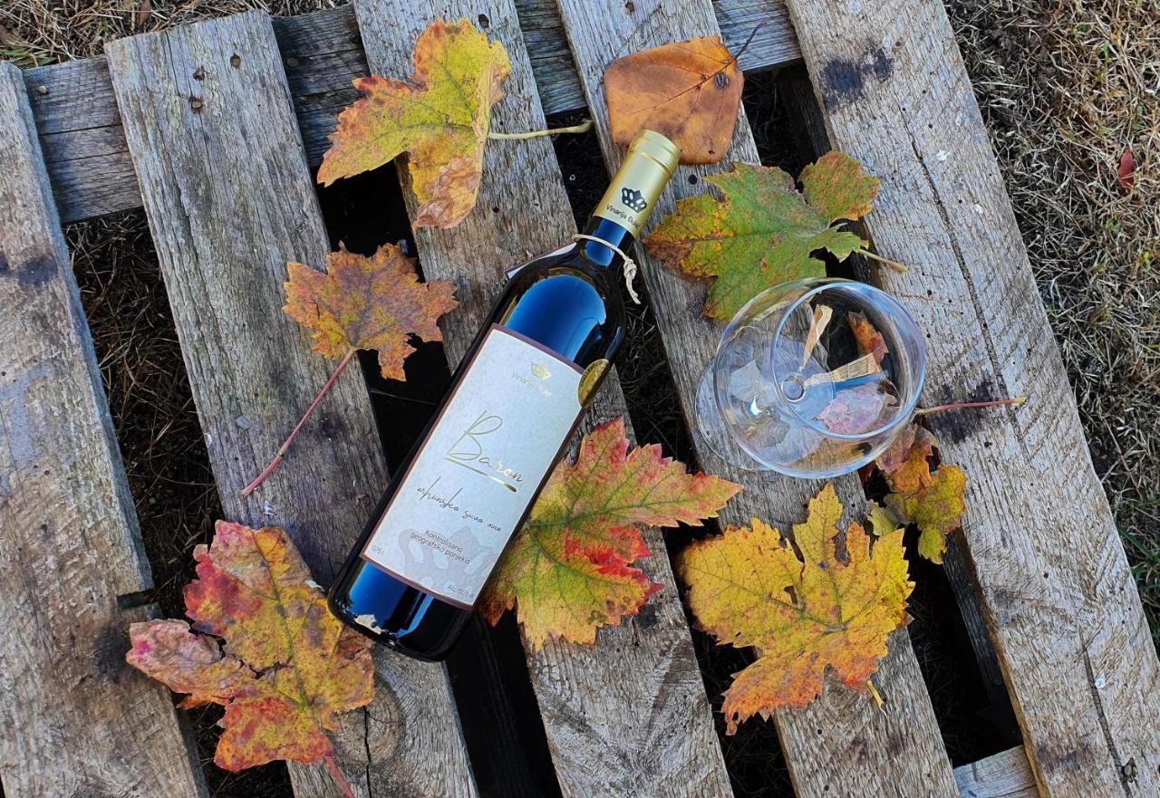 波德戈里察Djukic Winery公寓 外观 照片