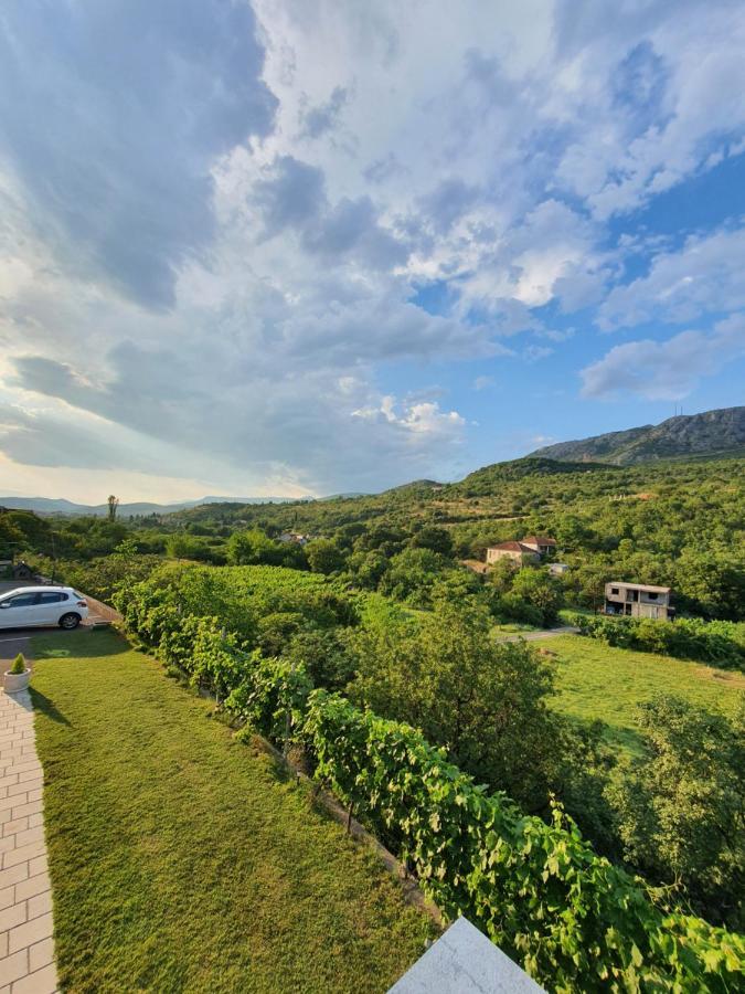 波德戈里察Djukic Winery公寓 外观 照片
