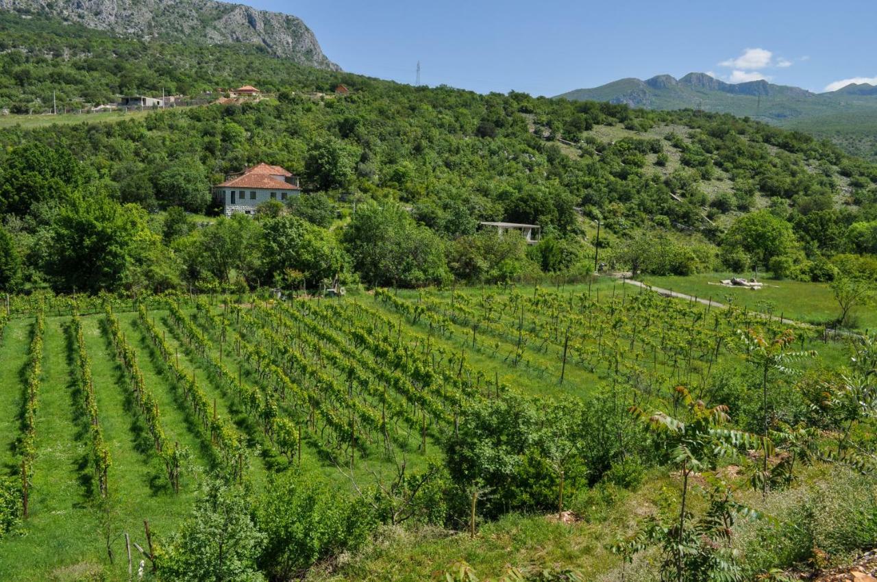 波德戈里察Djukic Winery公寓 外观 照片